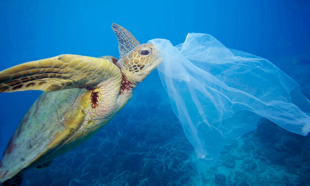 سالانه بیش از ۴۳۰ میلیون تن پلاستیک تولید می‌شود!