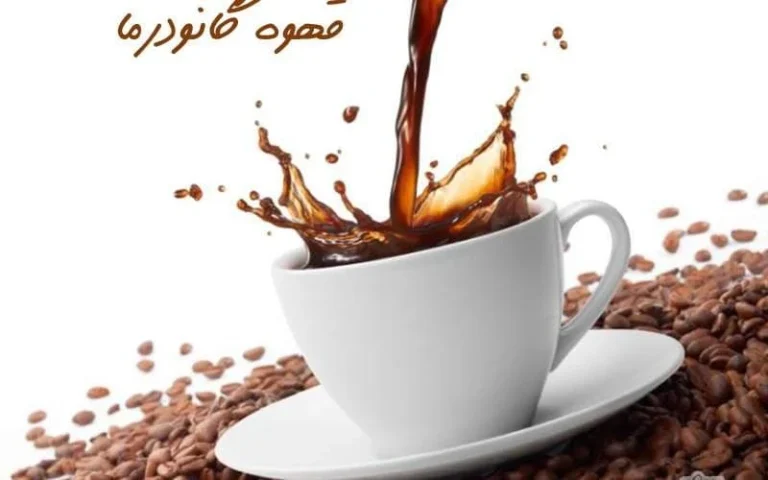 قهوه گانودرما در درمان پیسی
