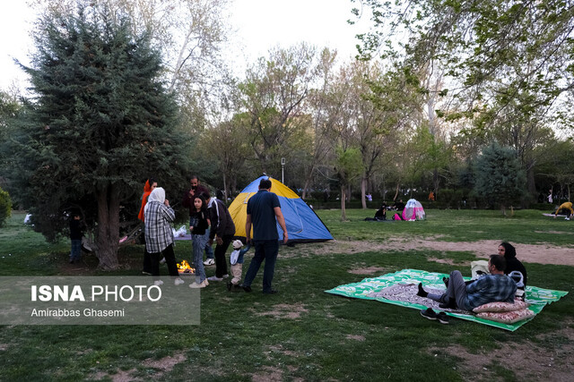 نقدی بر حصار کشی و اسباب‌کشی درختان از پارک‌ها