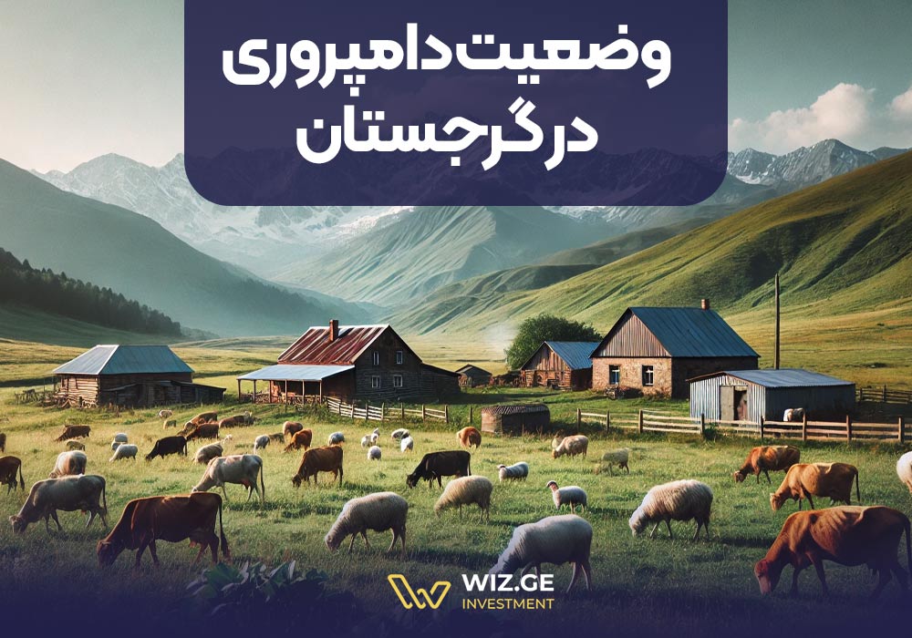 وضعیت دامپروری در گرجستان