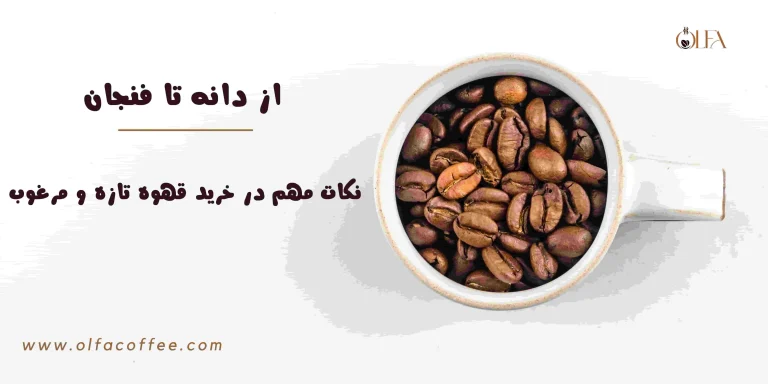 از دانه تا فنجان: نکات مهم در خرید قهوه تازه و مرغوب